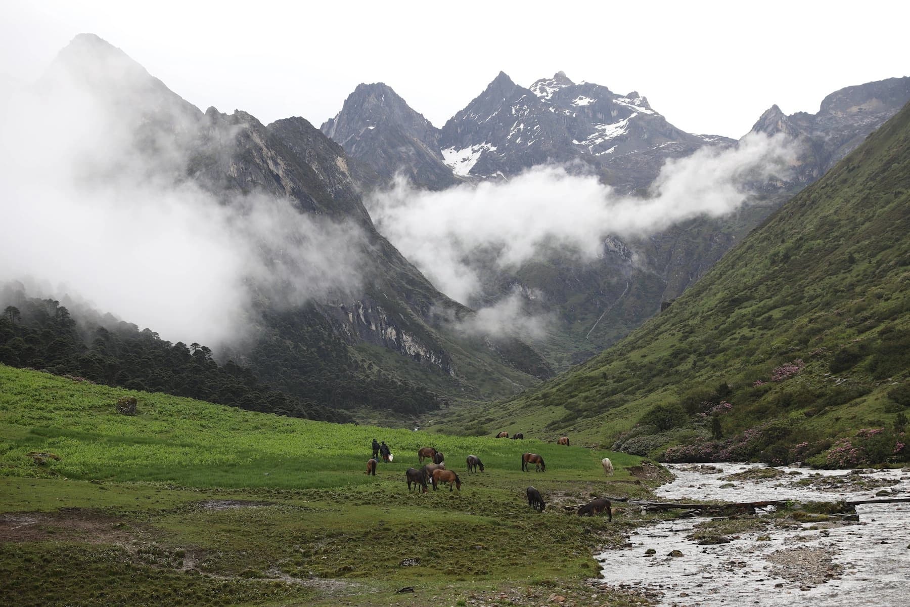 Trekking Adventures