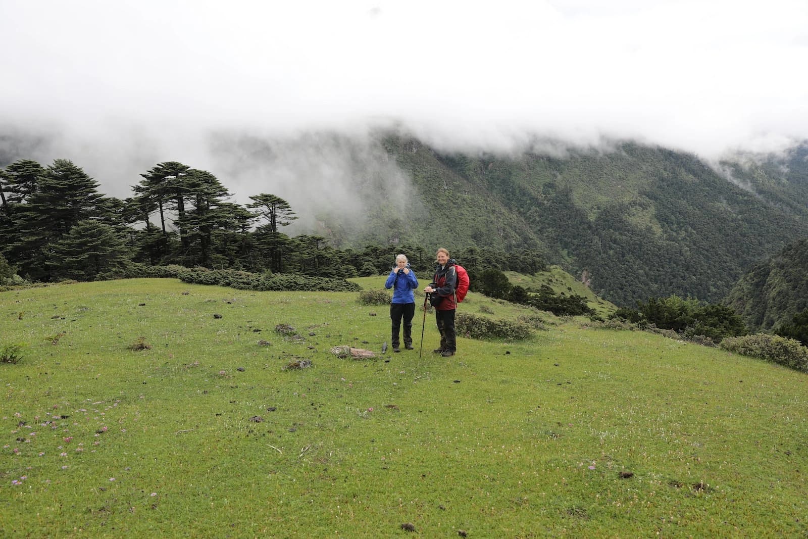 Trekking Adventures image 3